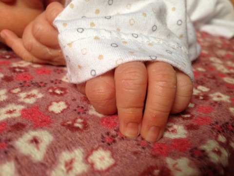 journal_insert_pic_256676022
