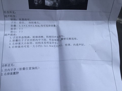 journal_insert_pic_257411594