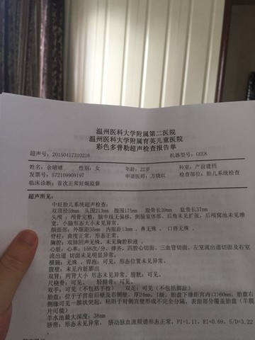 journal_insert_pic_257800424