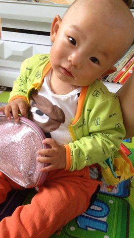 journal_insert_pic_258408511