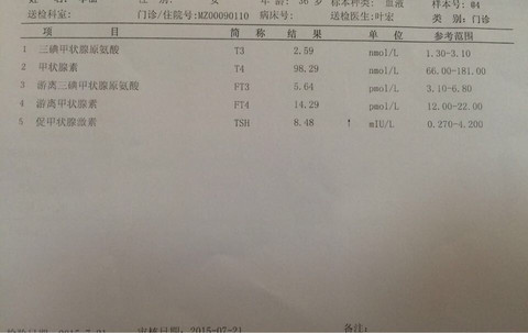 journal_insert_pic_259314997