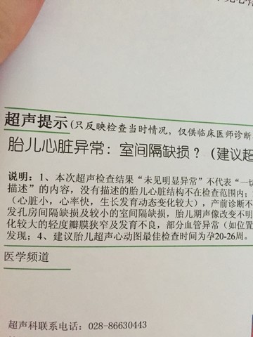 journal_insert_pic_260000828