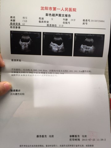 journal_insert_pic_261797693