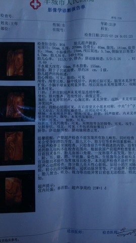 journal_insert_pic_262409361