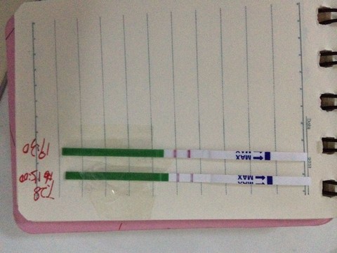 journal_insert_pic_262438134