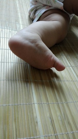 journal_insert_pic_262277894