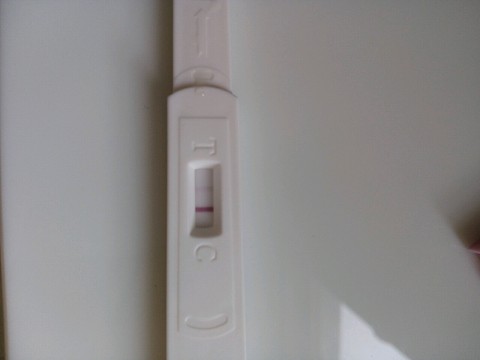 journal_insert_pic_262166856