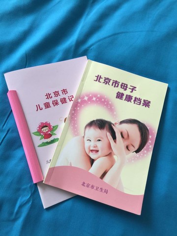 journal_insert_pic_263537546