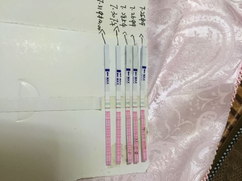 journal_insert_pic_263569909