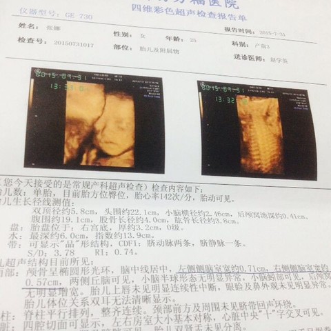 journal_insert_pic_263576202