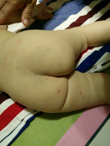 journal_insert_pic_263663307