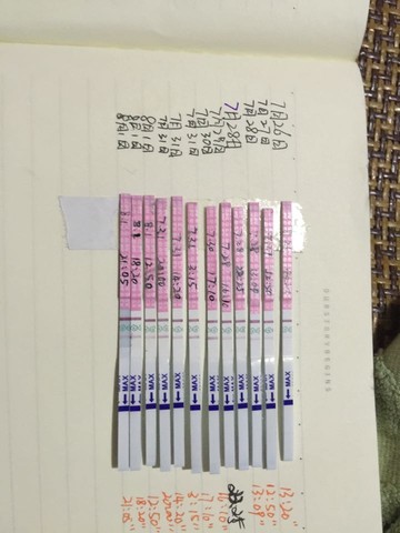 journal_insert_pic_264147365