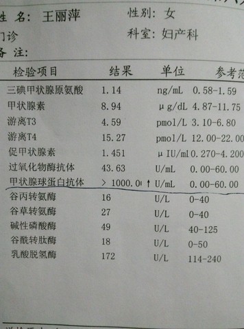 journal_insert_pic_264578617