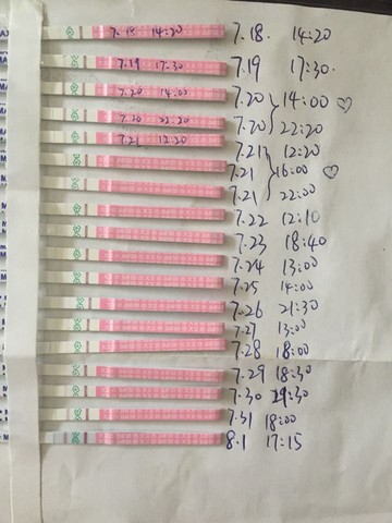 journal_insert_pic_265685523