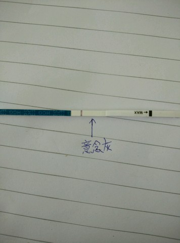 journal_insert_pic_265660553