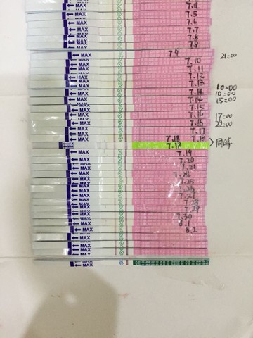 journal_insert_pic_265865411