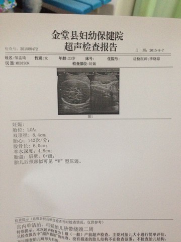 journal_insert_pic_266439337
