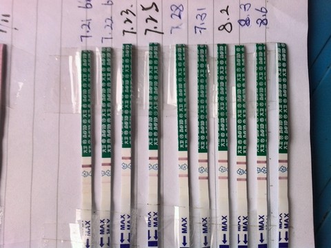 journal_insert_pic_266559547