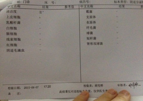 journal_insert_pic_266730537