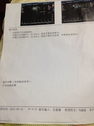 journal_insert_pic_268410039