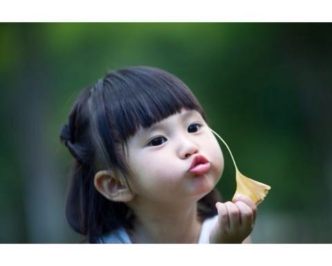 journal_insert_pic_267755588