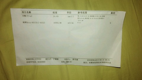 journal_insert_pic_268621103