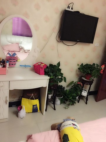 journal_insert_pic_268755468