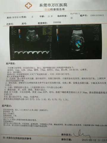 journal_insert_pic_269336437