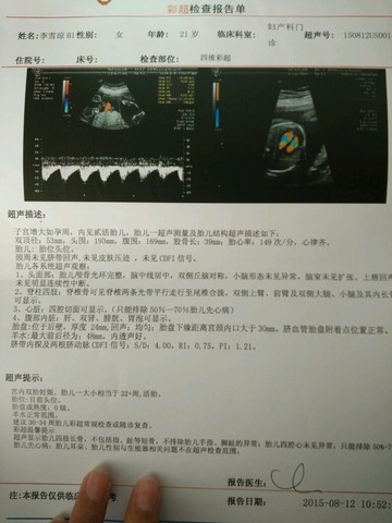 journal_insert_pic_269336348