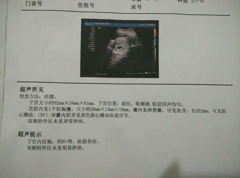 journal_insert_pic_269504968