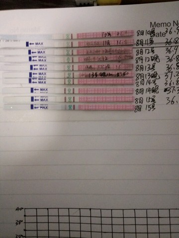 journal_insert_pic_271180688