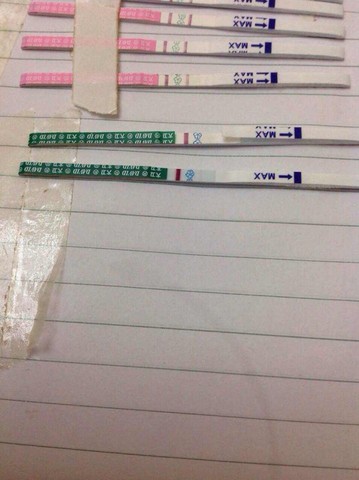 journal_insert_pic_272275933