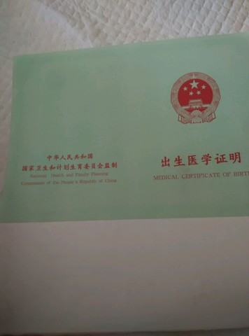 journal_insert_pic_273048142
