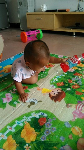 journal_insert_pic_274115673