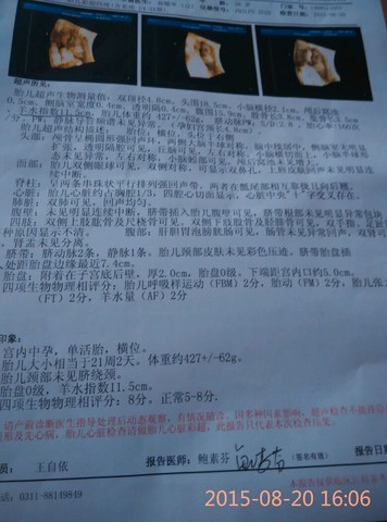 journal_insert_pic_273876368
