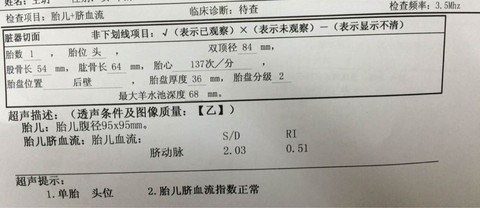 journal_insert_pic_274656486