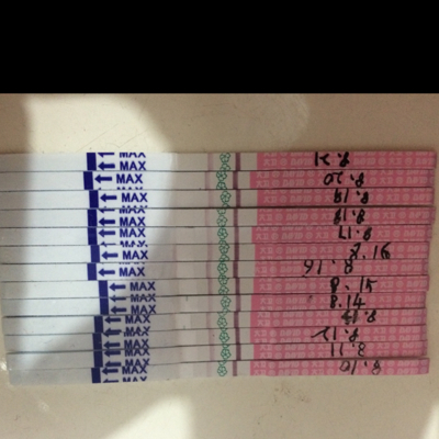 journal_insert_pic_274875885