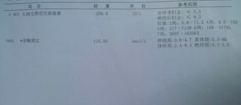 journal_insert_pic_275554598