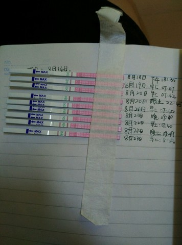 journal_insert_pic_276095443