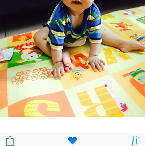 journal_insert_pic_277285435
