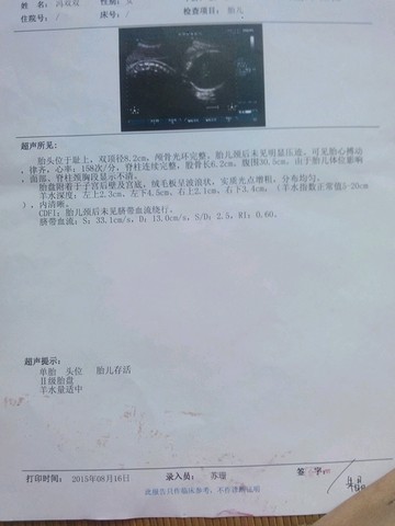 journal_insert_pic_277168926