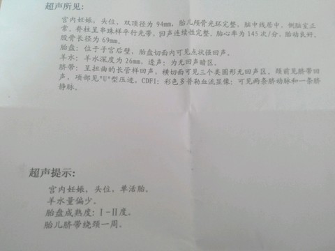 journal_insert_pic_277726294