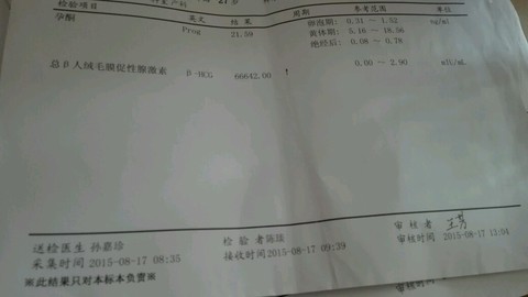 journal_insert_pic_277803669