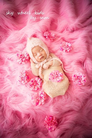 journal_insert_pic_278644434