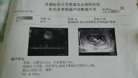 journal_insert_pic_279502612