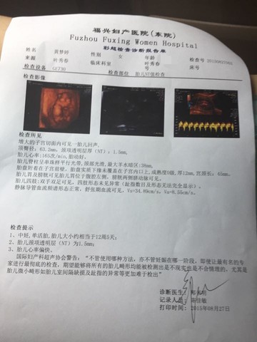 journal_insert_pic_279537409
