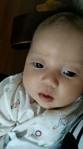 journal_insert_pic_280555553