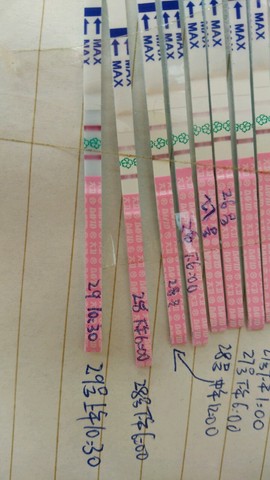 journal_insert_pic_281248784