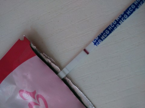 journal_insert_pic_282710186