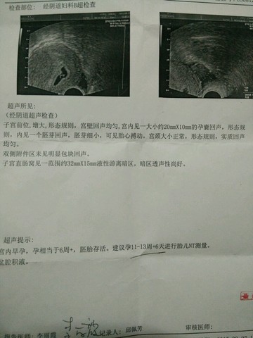 journal_insert_pic_284269995
